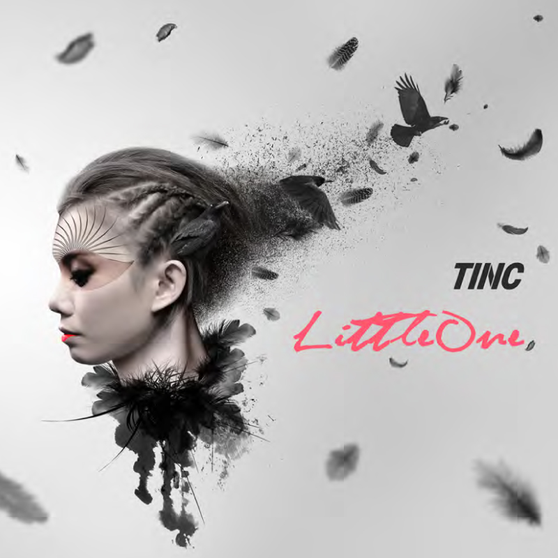 Tinc-Album-2016